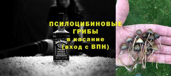 МДПВ Каменногорск