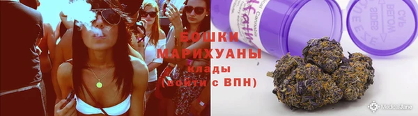 a pvp Инсар