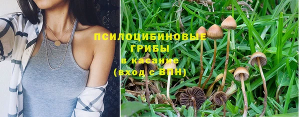 a pvp Инсар