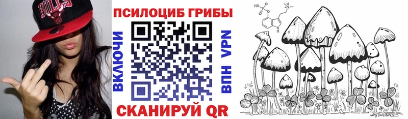Псилоцибиновые грибы MAGIC MUSHROOMS Купить Заполярный